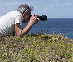 Weitere Fotos